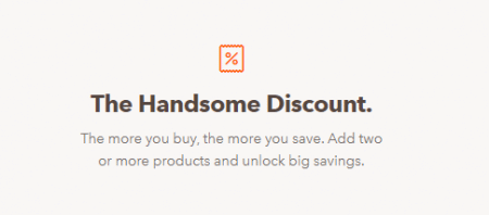 the handsome discount