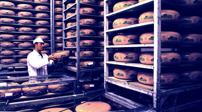 Zijerveld - working with cheese