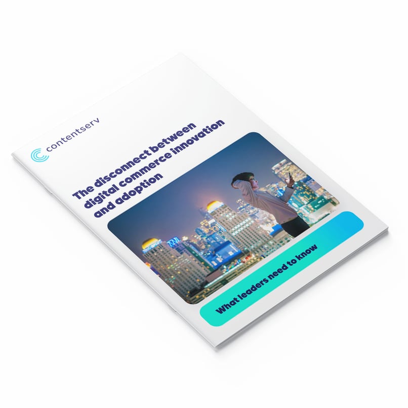 Cover: The disconnect between digital commerce innovation and adoption 