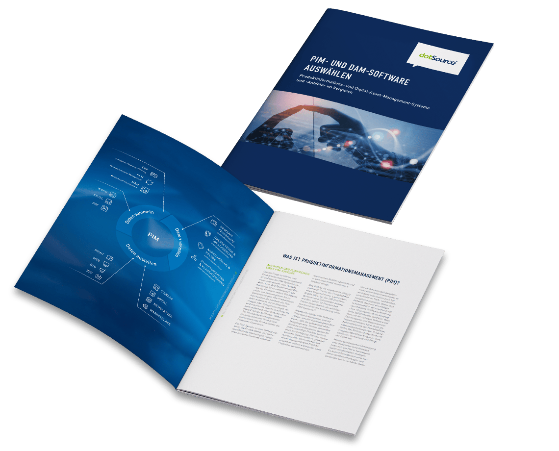 de-report-dotsource-header-image
