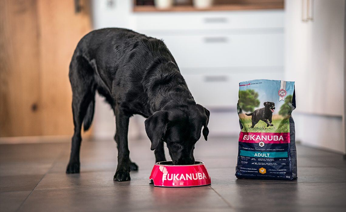spectrum-brands-eukanuba