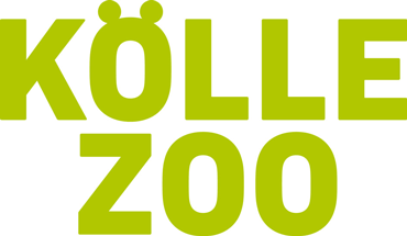 customer-kolle-zoo-370px