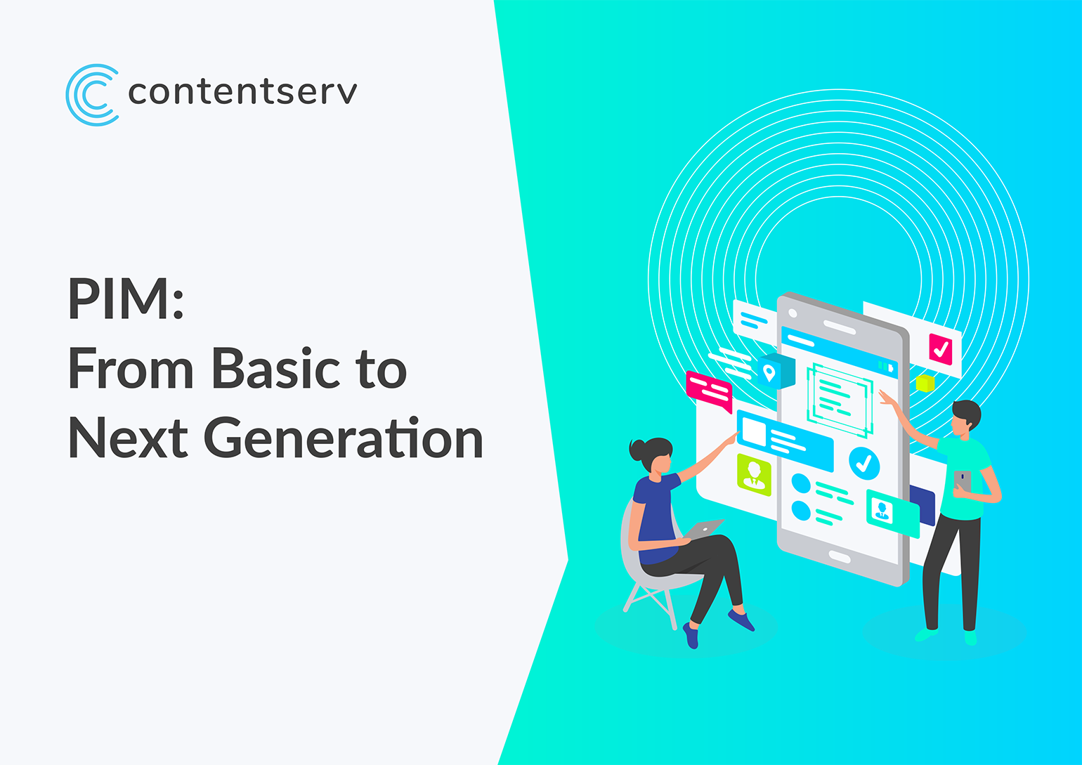 eBook: PIM -  From Basic to Next Generation