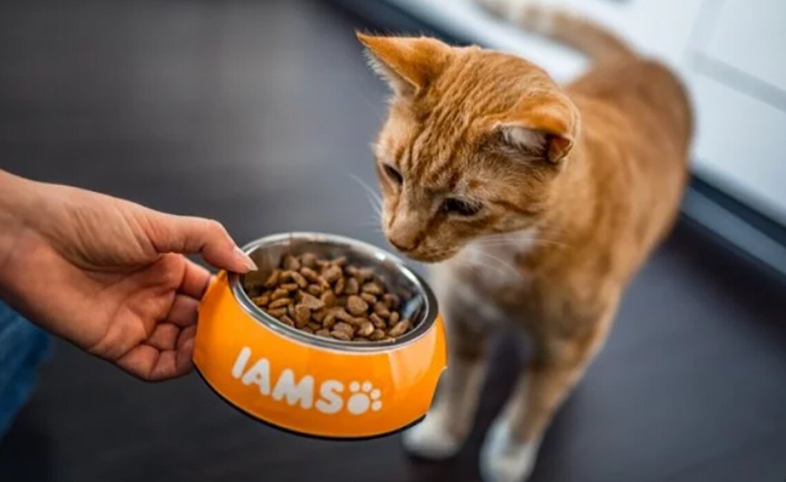 spectrum-brands-iams