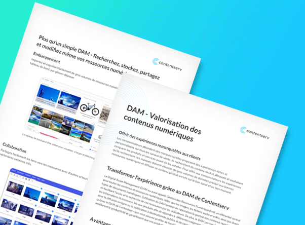 dam-datasheet-fr-cta