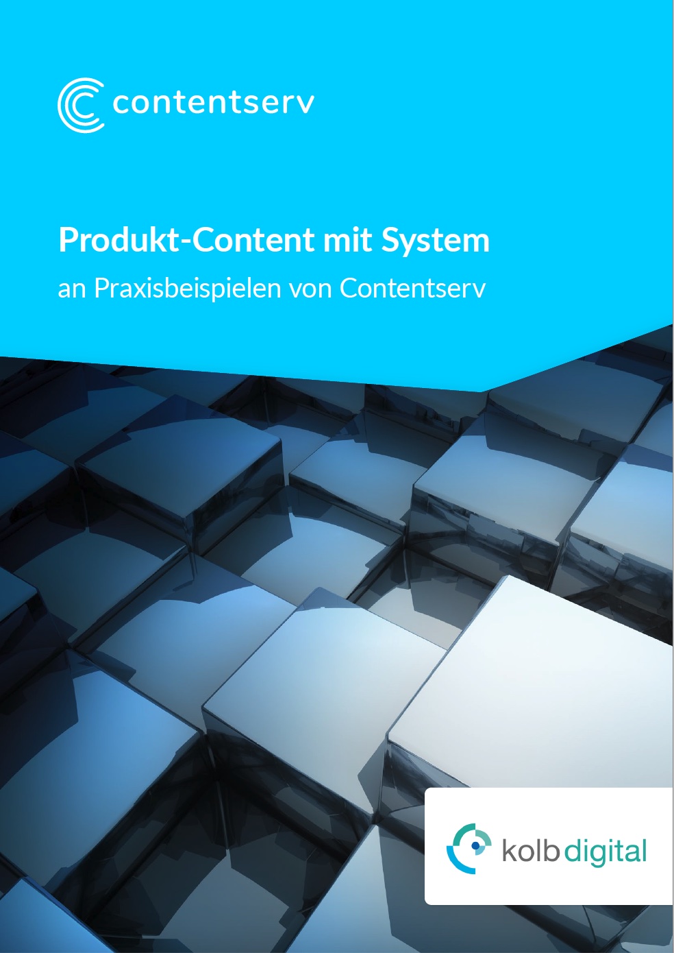 PIM & DAM in der Cloud - Praxisbeispiele 